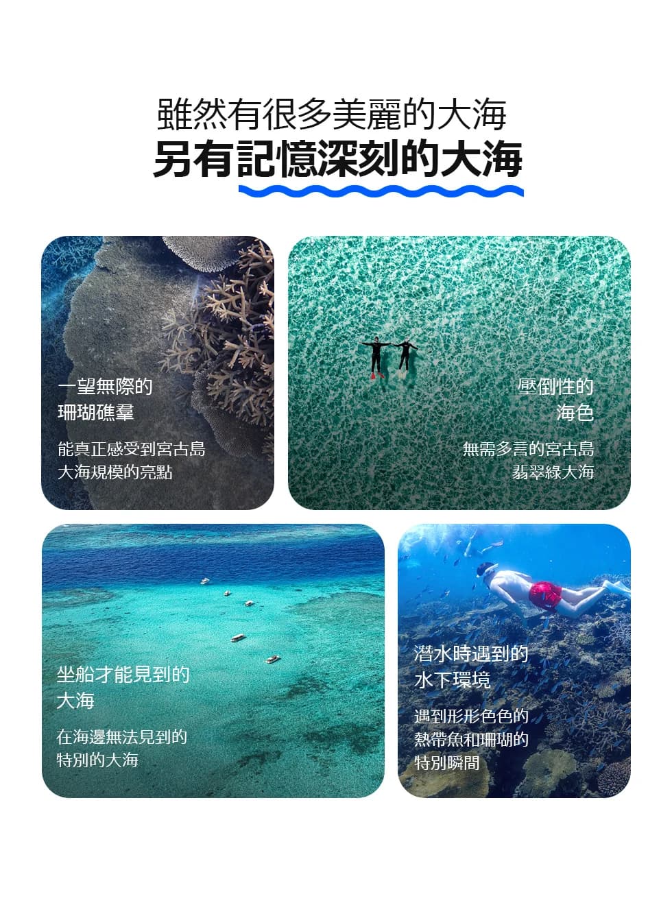 八重干瀨之旅