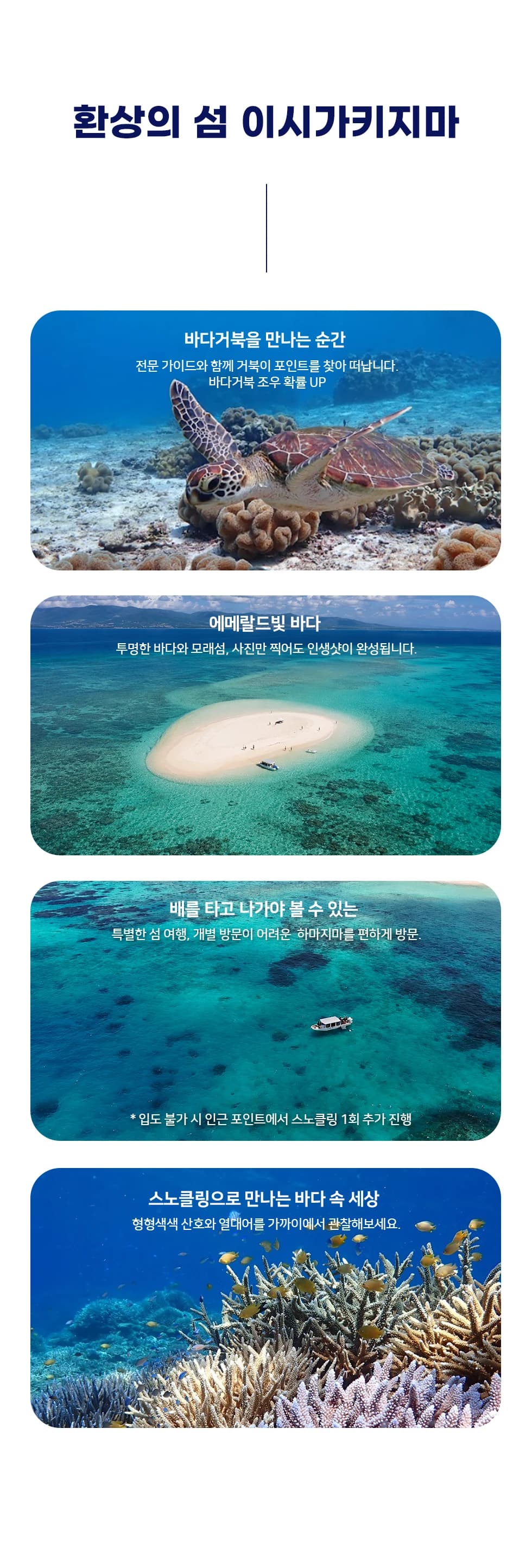 투어 안내