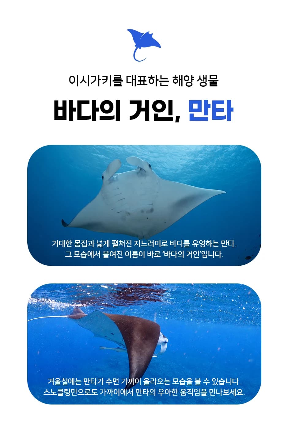 투어 안내