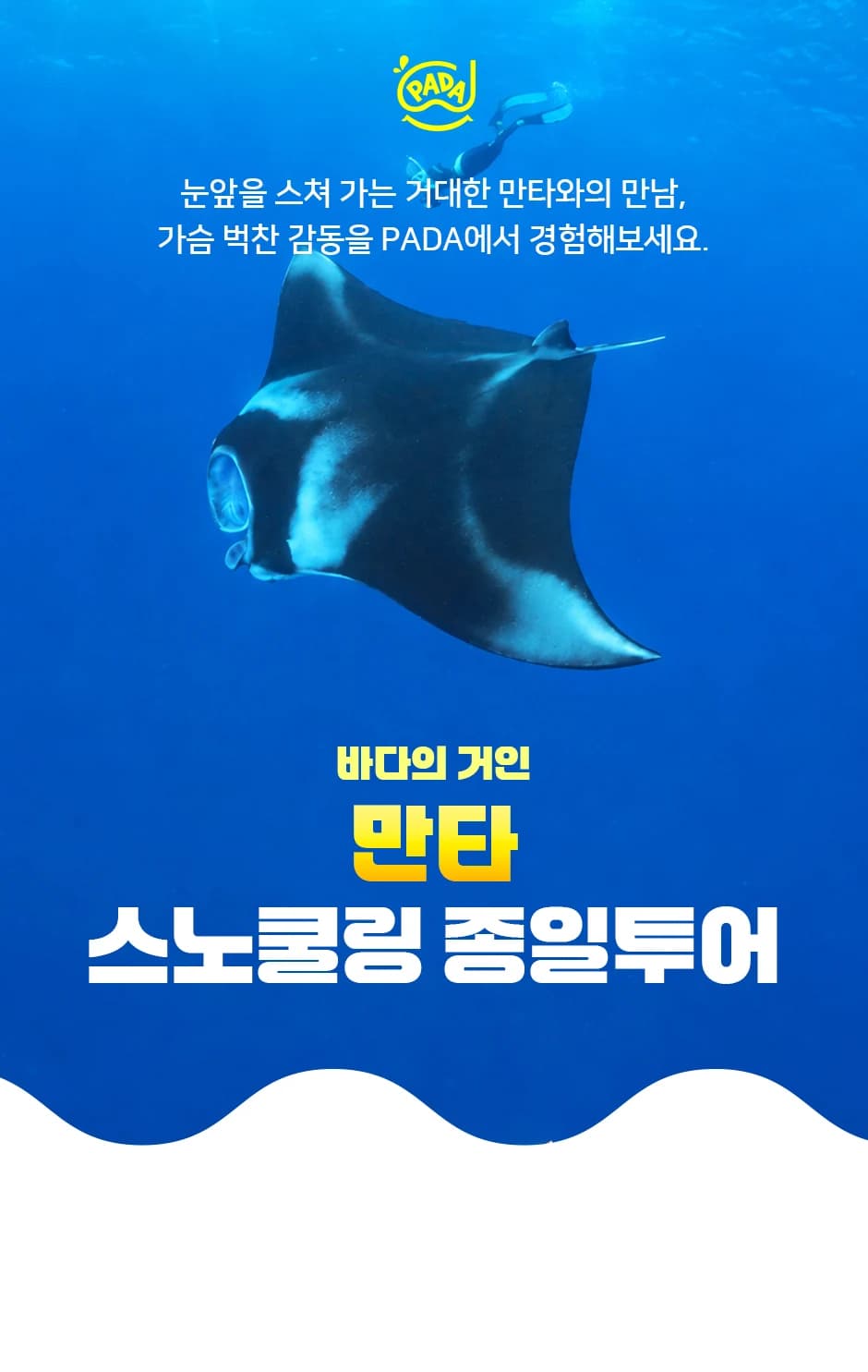 투어 안내